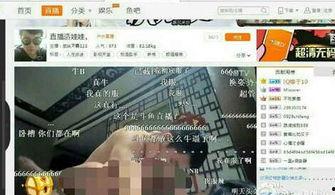 国产啪tv,探索“啪tv”的独特魅力